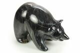 Realistic Polished Picasso Marble Bear - Utah #308637-1